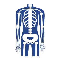 RADIOLOGIA