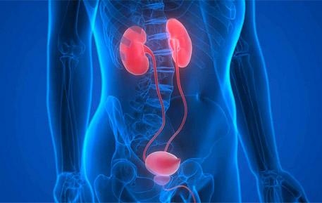 Medicart Servizi - Urologia